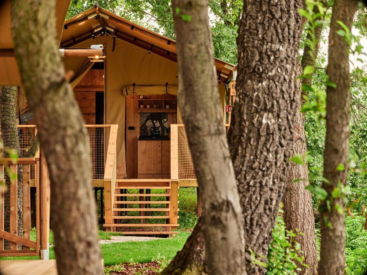 מלון Zatoria Luxury Glamping זאטור מראה חיצוני תמונה