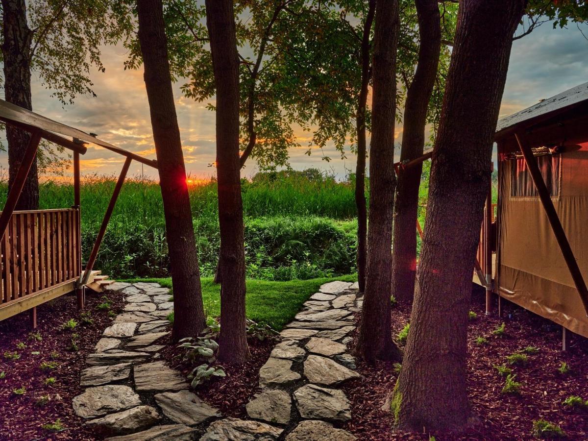 מלון Zatoria Luxury Glamping זאטור מראה חיצוני תמונה