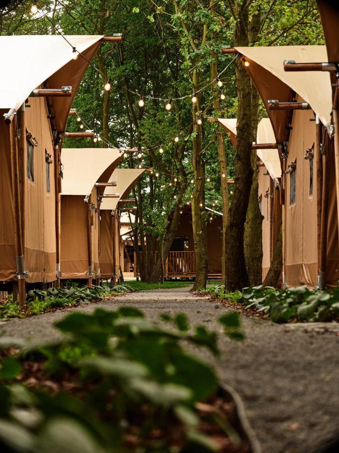 מלון Zatoria Luxury Glamping זאטור מראה חיצוני תמונה