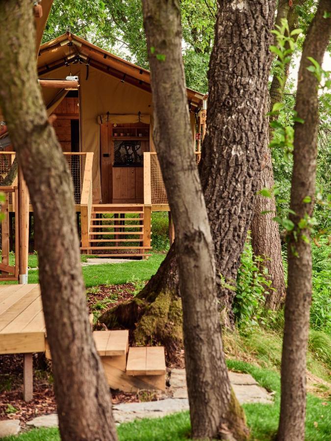 מלון Zatoria Luxury Glamping זאטור מראה חיצוני תמונה